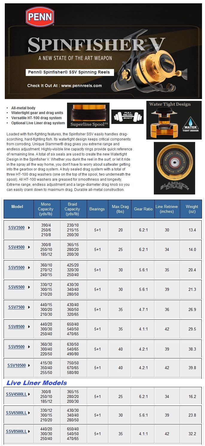 Penn Reel Size Chart